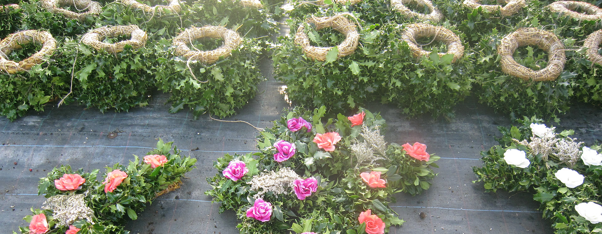 Pumpkins, Mini Cyclamen & Wreaths