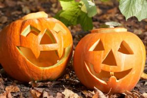Halloween Pumpkins from EN Coxhead