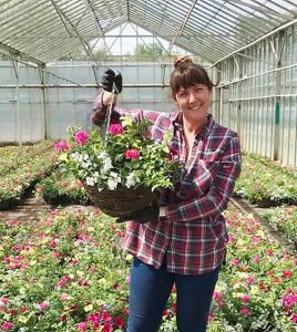 Trade Hanging Baskets in Preston, Lancashire by EN Coxhead.