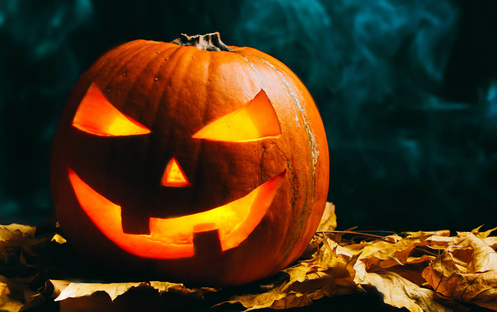 Pumpkin Trade Sales