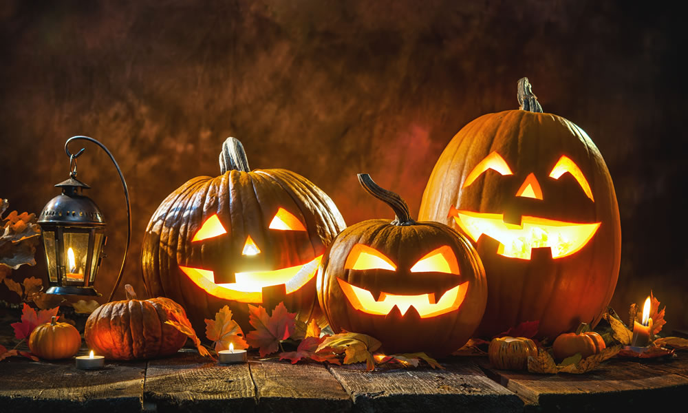 Pumpkin Trade Sales