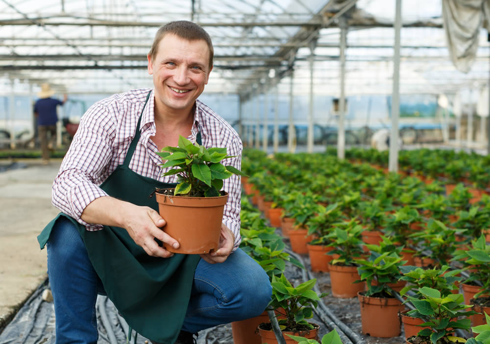 Horticultural Worker Vacancies in Preston