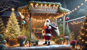 Merry Christmas from all at EN Coxhead