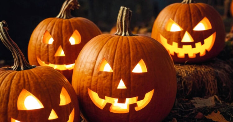 Embracing Halloween with EN Coxhead Pumpkins