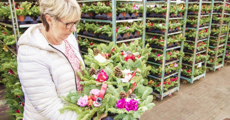 Holly Pots and Christmas Wreaths